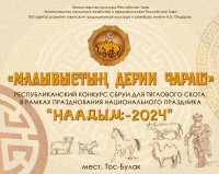 В Туве состоится республиканский смотр-конкурс традиционной сбруи для тяглового скота «Малывыстың дерии чараш»