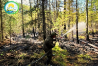 В Туве после снижения числа лесных пожаров снят режим ЧС