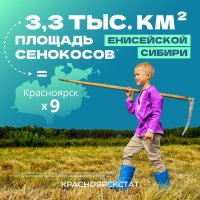 Пий-Хемский район - в лидерах Енисейской Сибири по количеству скошенного сена