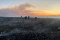 Площадь лесных пожаров в Туве сократилась до 190 гектаров