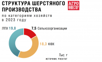 Шерстяное овцеводство: быть или не быть. Правительство разработало план по выведению отрасли из кризиса