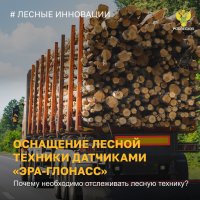 Тайга будет под надзором: технику, перевозящую лес, оснастят ГЛОНАСС