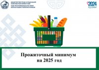 С 2025 года прожиточный минимум в Туве вырастет на 2000 рублей