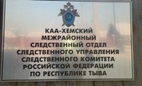 В Туве возбуждено уголовное дело после гибели семилетней девочки