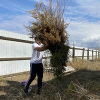 "Добрые сердца Тувы" помогли семье погибшего героя СВО в заготовке дров и уборки приусадебного участка