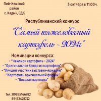 Жителей Тувы приглашают на конкурс самого большого картофеля республики