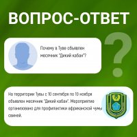 Госкомохотнадзор Тувы призывает сообщать о трупах диких свиней в лесу 