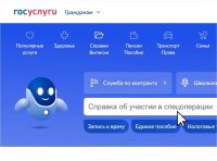 С 1 ноября 2024 года можно получить справку об участии в СВО на портале «Госуслуги»