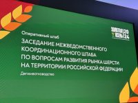 Вопрос поддержки отгонного животноводства подняла на встрече сенаторов с министром сельского хозяйства Оксаной Лут представитель Тувы Дина Оюн