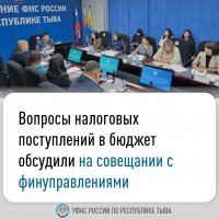 Налоговая служба Тувы сообщила об увеличении поступления налоговых платежей в бюджеты республики