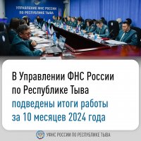 Жители и организации Тувы уплатили налогов на 4 млрд рублей больше чем годом ранее