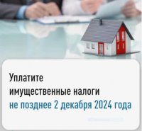 Налоговая Тувы напоминает, что с 3 декабря должники по налогам будут должны еще и ежедневные пени