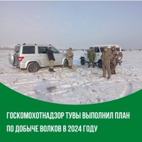 В Туве выполнен годовой план по добыче волков