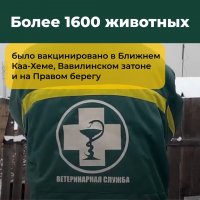 Кызылчанам напоминают о необходимости вакцинировать домашних животных от бешенства