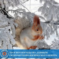 В ночь на 5 февраля в Туве ожидается до -37°С