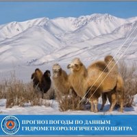 В Туве 15 февраля колебания погоды от -31°С ночью до -2°С днем