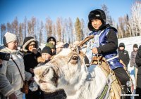 В Туве, по оценкам Минсельхоза Тувы, 1832 оленя. Субсидия на голову выросла до 3 тысяч рублей