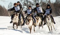 В Туве, по оценкам Минсельхоза Тувы, 1832 оленя. Субсидия на голову выросла до 3 тысяч рублей