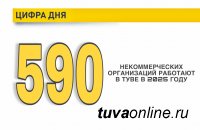 Цифра дня: в Туве работают 590 некоммерческих организаций