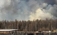 В Тандинском кожууне Тувы из-за лесного пожара введен режим ЧС