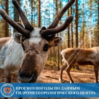 В Туве 24 апреля потеплеет ло +18°С