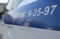 Жительница Ак-Довурака украла золотые сережки у годовалой девочки