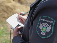 В Кызыле и Кызыл-Мажалыке специалисты Россельхознадзора выявили фантомные площадки по разведению скота