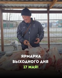 Ярмарка выходного дня состоится 17 мая в столице Тувы