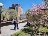 Жители Тувы стали тщательнее отслеживать концентрацию пыльцы в воздухе   