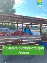 В Кызыле сегодня пройдёт ярмарка продажи продуктов от тувинских фермеров