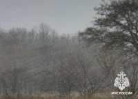 В Туве бурный ливень. МЧС предупреждает, что завтра непогода продолжится