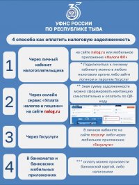 Жители Тувы смогут погасить старые долги по налогам в июле