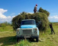 Косари Тувы заготавливают сена больше, чем в соседней Хакасии