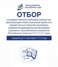 В Туве прием заявок на субсидии по инвестпроектам продлен до 14 сентября