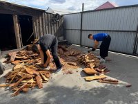 «Добрые Сердца Тувы» помогли семье участника СВО по хозяйству