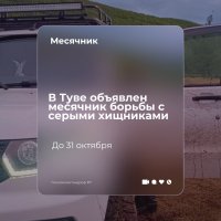 В Туве начался месячник борьбы с волками