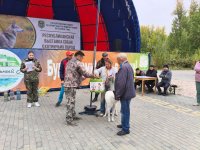 В Туве наградили хозяев лучших охотничьих собак