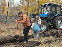 Энергетики Тувы высадили 3000 сосен в Тандинском кожууне для восстановления леса после пожара