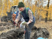 Энергетики Тувы высадили 3000 сосен в Тандинском кожууне для восстановления леса после пожара