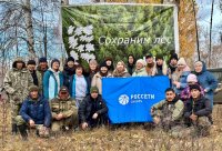 Энергетики Тувы высадили 3000 сосен в Тандинском кожууне для восстановления леса после пожара