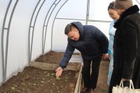 В Тес-Хемском районе Тувы инициативные родители открыли школьную теплицу