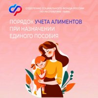 Социальный фонд разъясняет: какие доходы жителей Тувы учитываются при назначении единого пособия