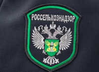 Россельхознадзор в Туве с начала 2025 года выдал 53 предостережения за нарушения в области фитосанитарии