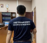 В Туве у родителей, допустивших смерть двухлетнего сына на морозе, изъяли детей