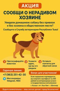 Служба ветеринарии Тувы предлагает вознаграждение за сообщения о собаках без хозяев