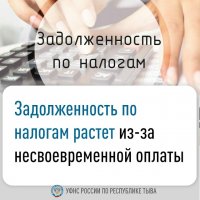 Жители Эрзинского кожууна на сегодня самые дисциплинированные налогоплательщики Тувы