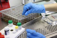 В преддверии Дня матери Cлужба ветеринарии Тувы рассказала о мамах-ветврачах