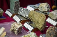 Куда раньше тек Енисей или как по Туве бродили динозавры