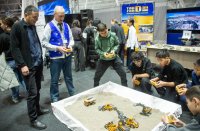 Куда раньше тек Енисей или как по Туве бродили динозавры