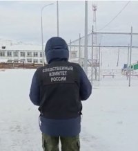 В Туве проверяют обстоятельства нападения собаки на семилетнего ребенка